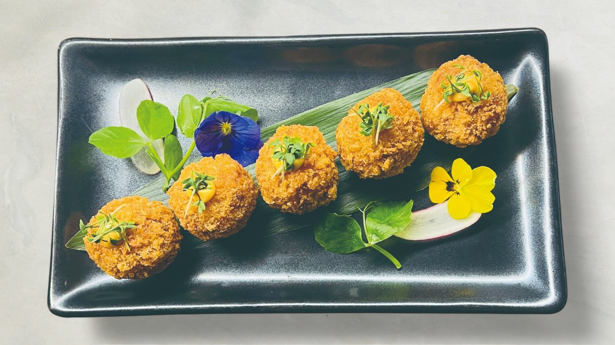 667017Fab826187739bb1d04