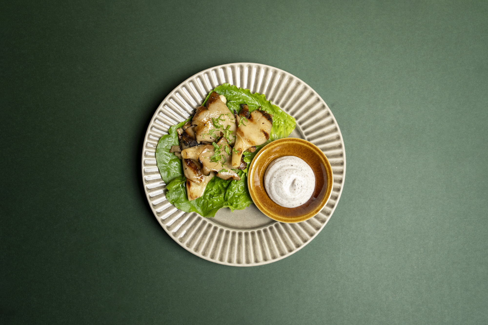 Oyster Mushrooms (Compressed)