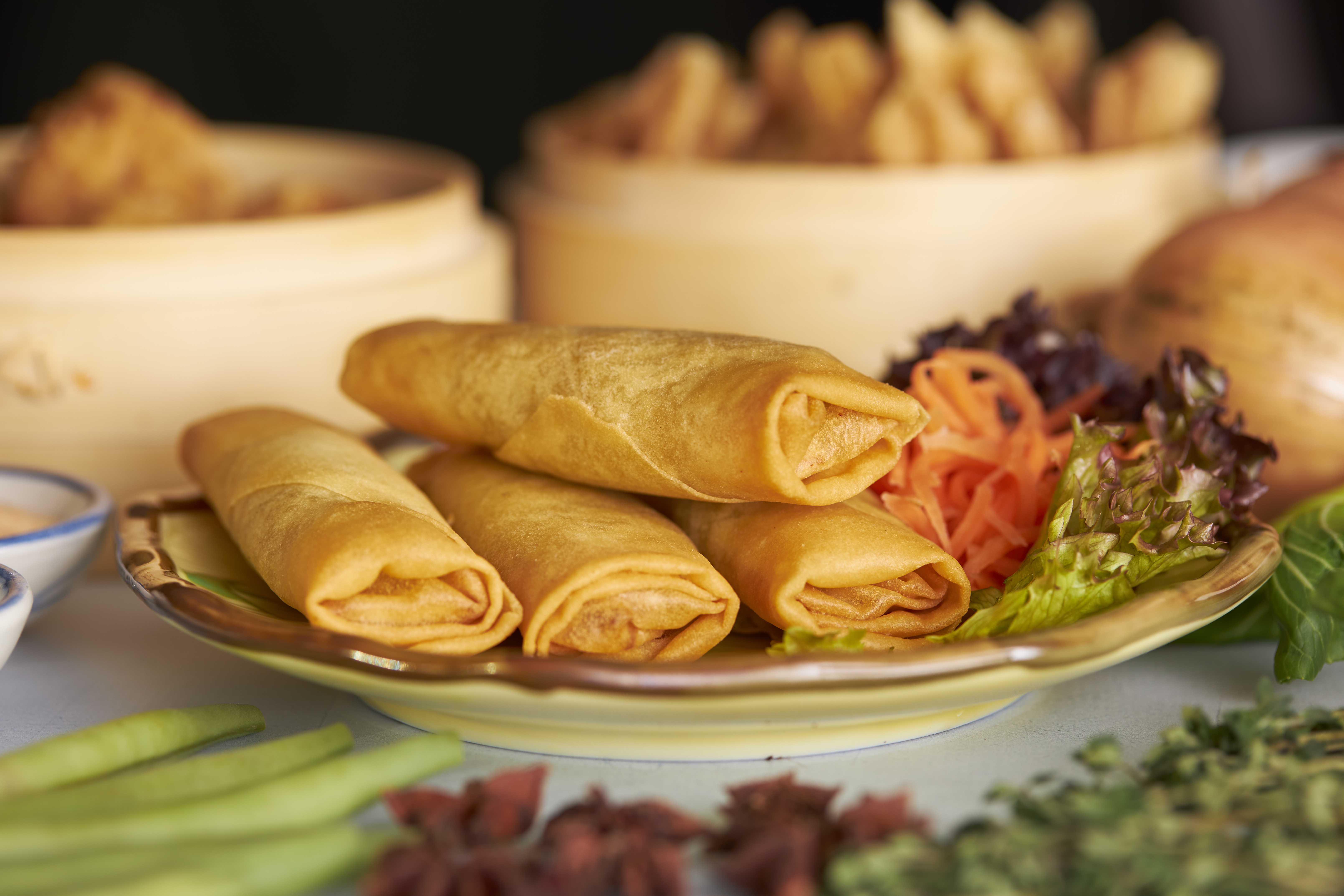 COVER 4 SPRINGGY CRAWLS BIGGGG