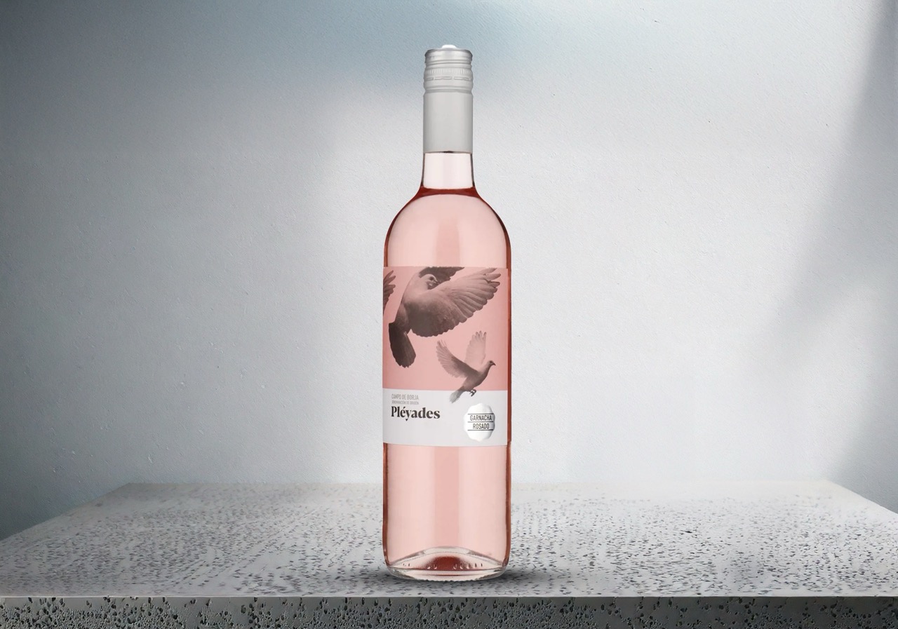 Pleyades Rose – Stor
