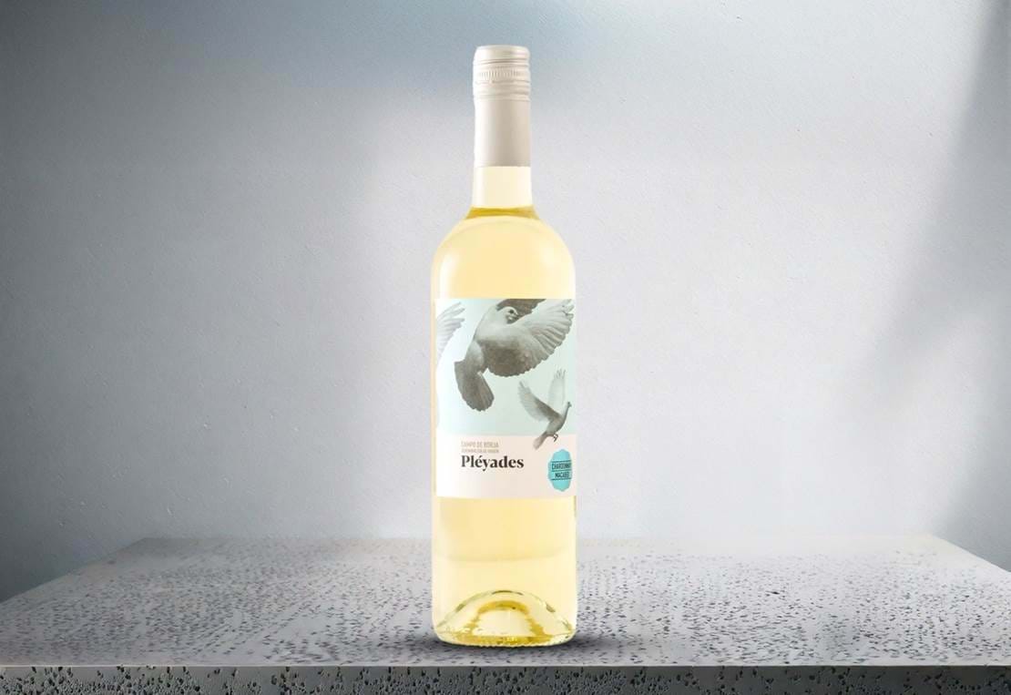 Pleyades White – Stor