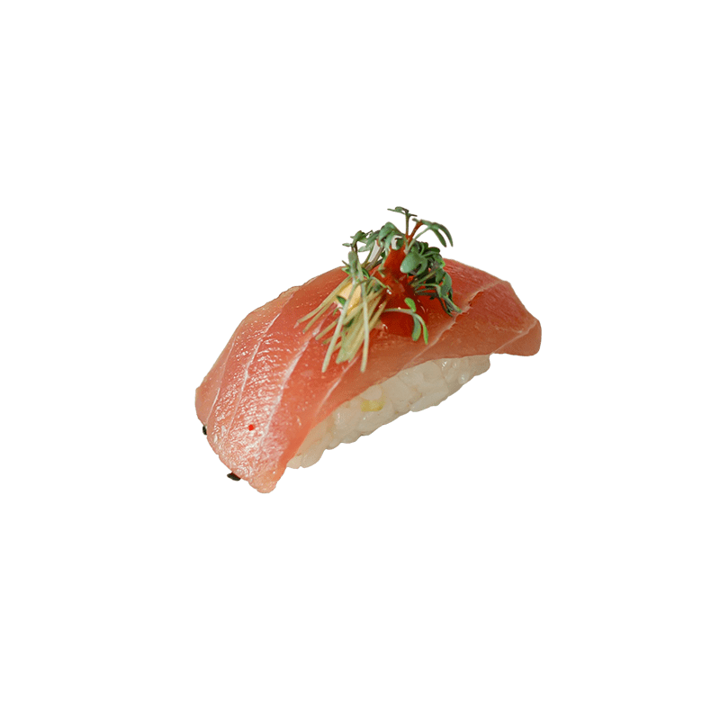 65 AI Tun Removebg Min