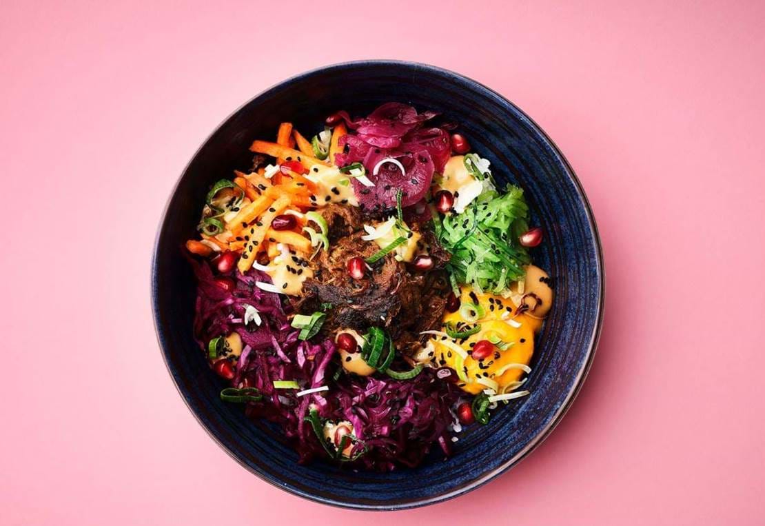 Duck Pokeandsons 33581 (1)