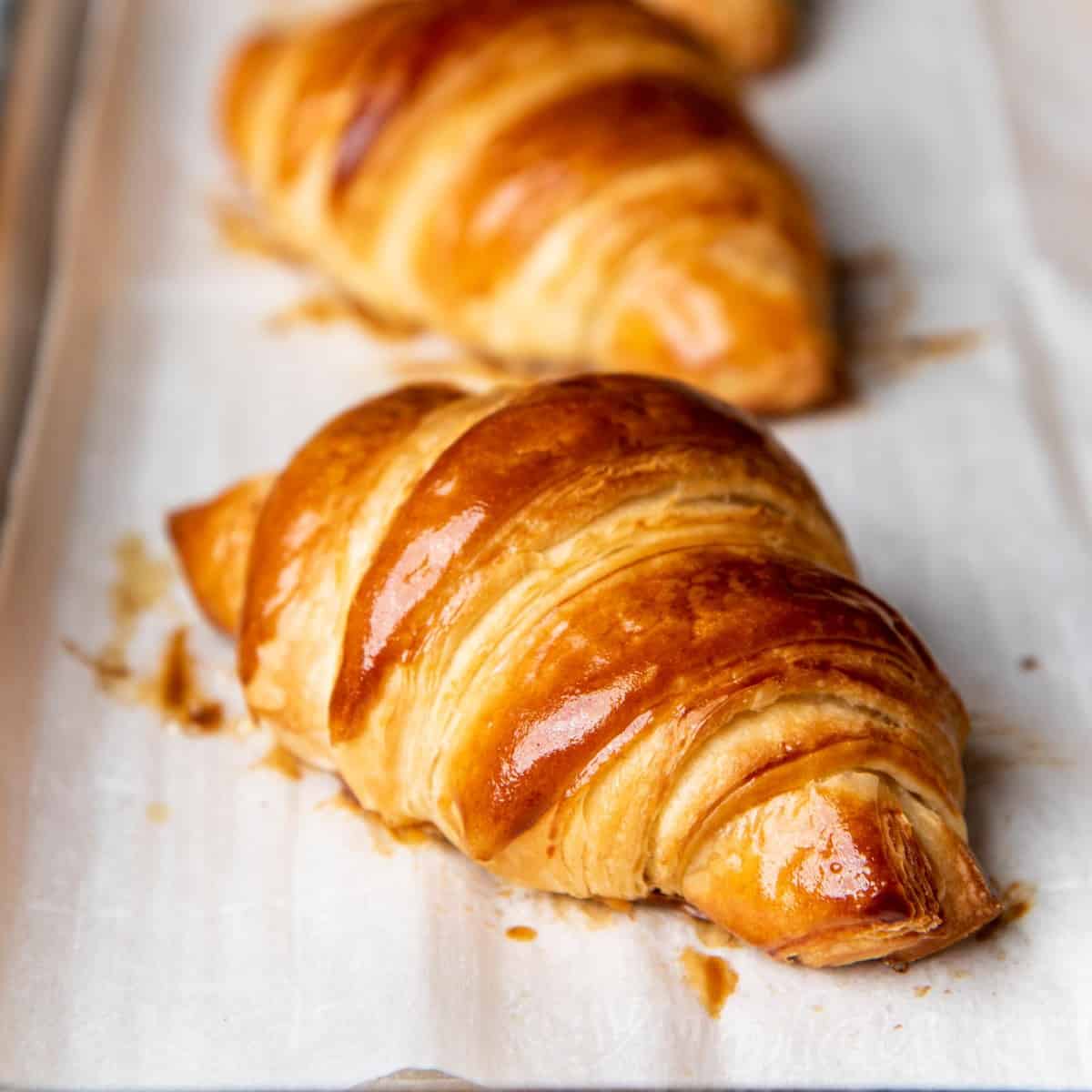 French Croissants SM 2363
