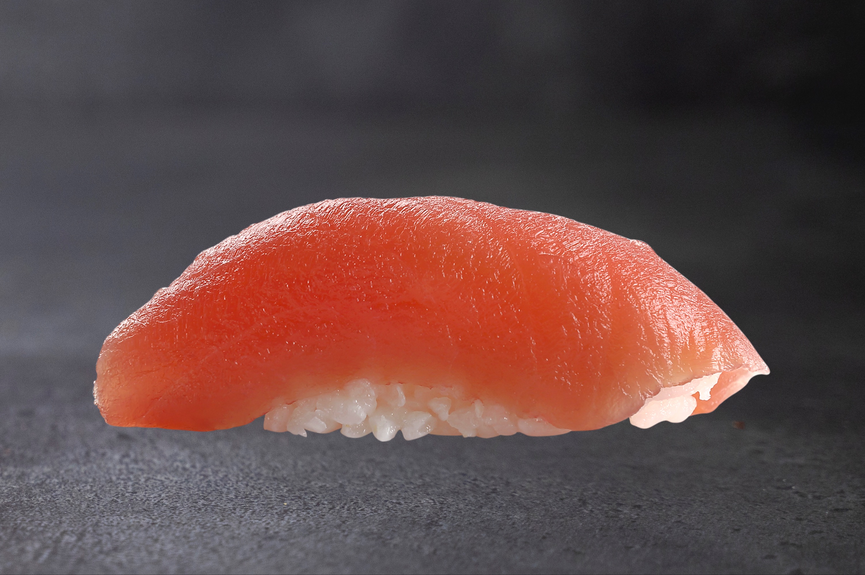 Nigiri Tun Compressed
