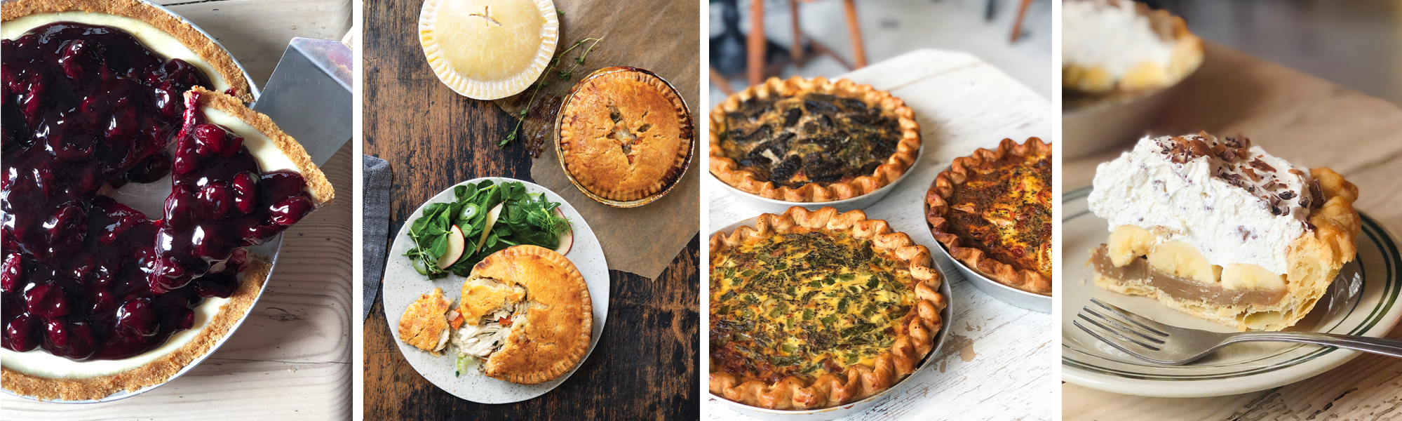 2025 Jan Page Header MEALO