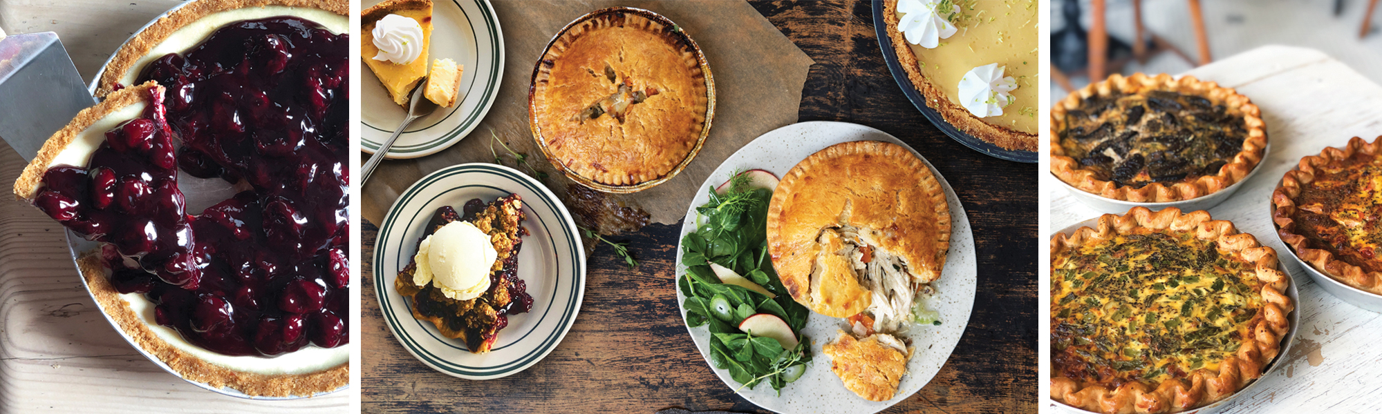 Mealo Topbanner Basic 2026