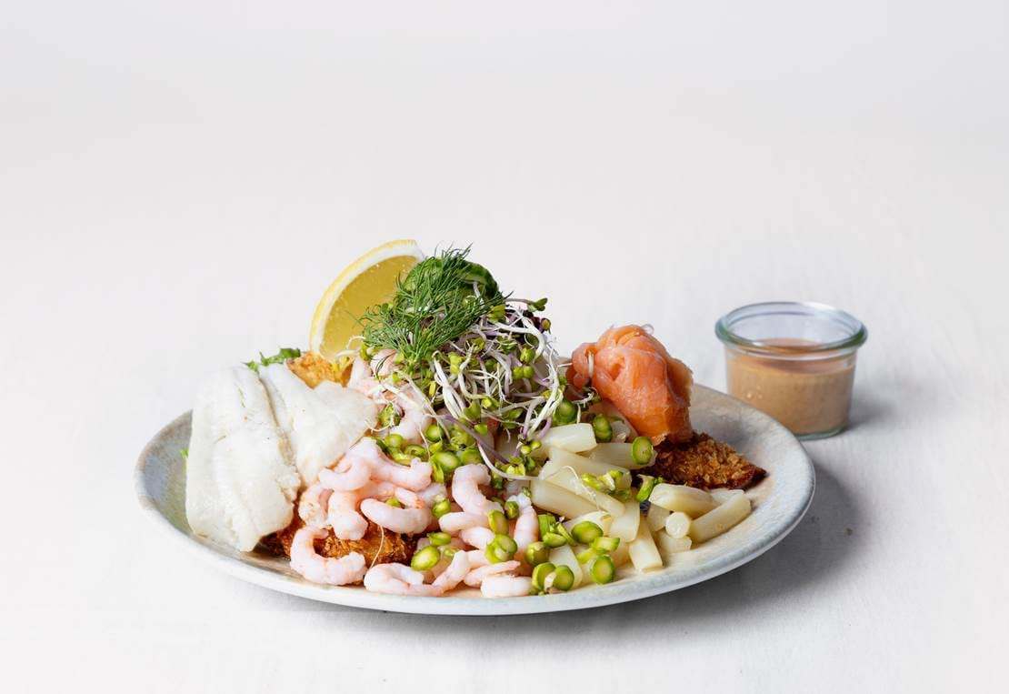 Mellma 025 Compressed