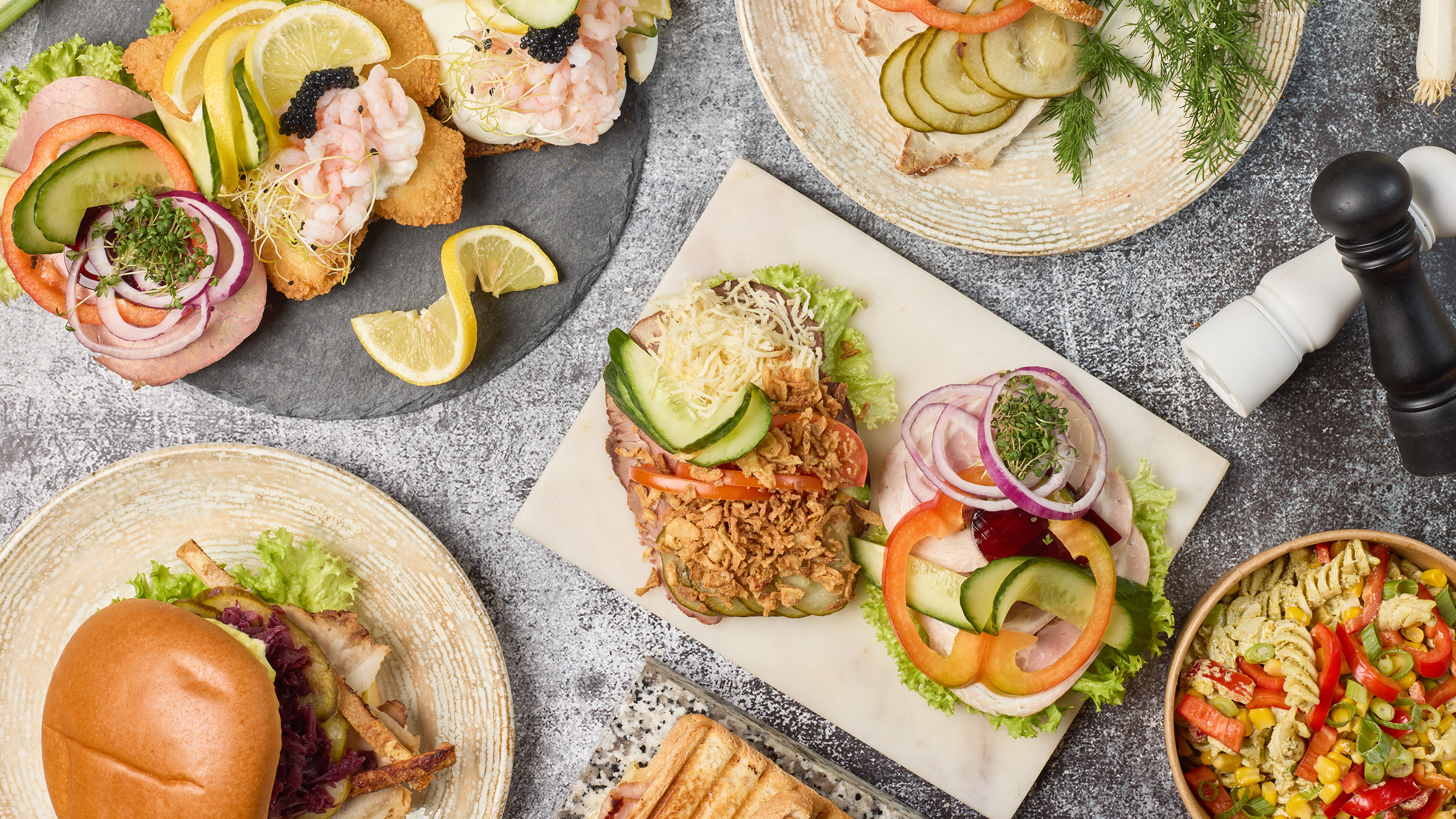 Wpt Rug & Co. Discovery