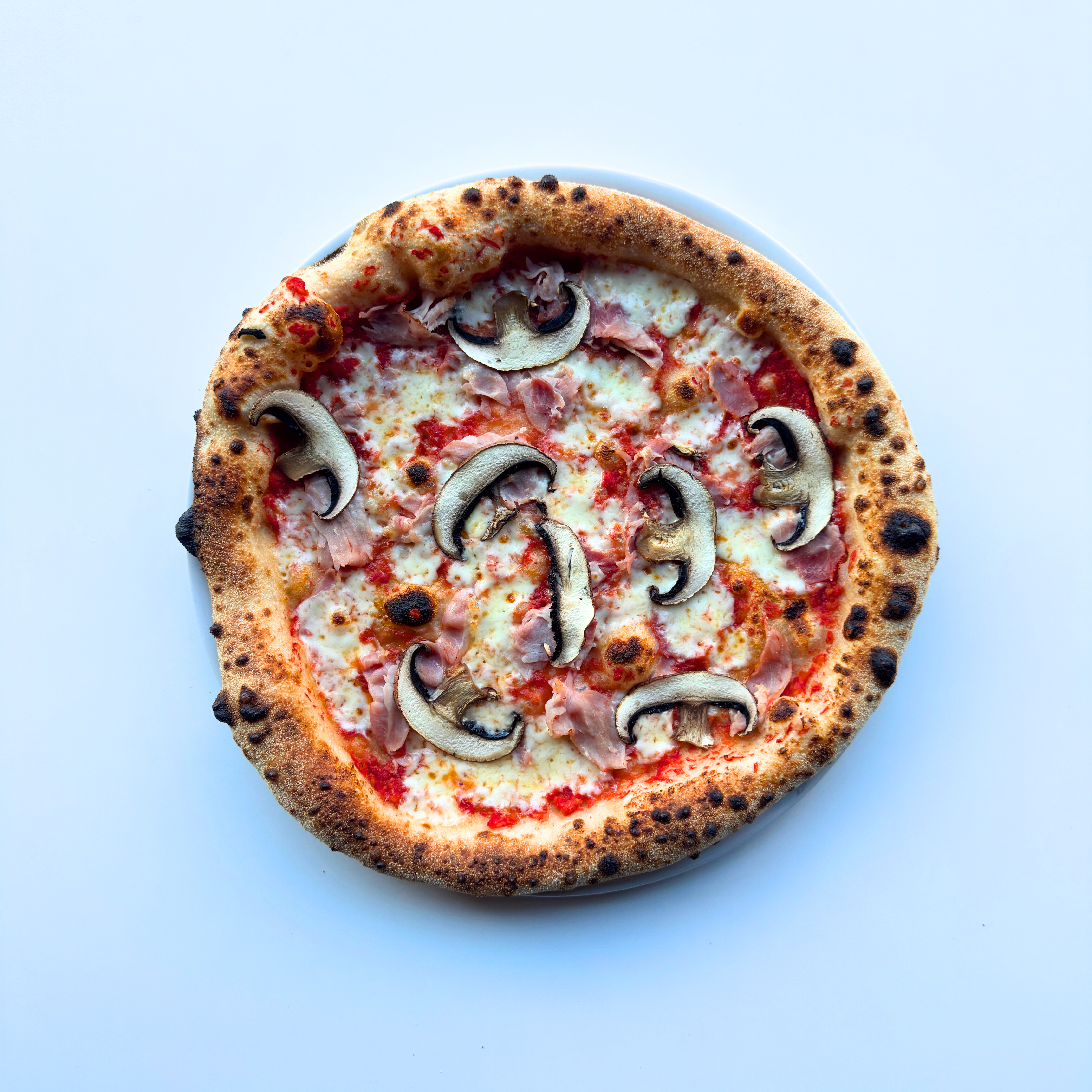 Ecaf23fe 10E9 4Fe7 B6fc C30fb57e1556