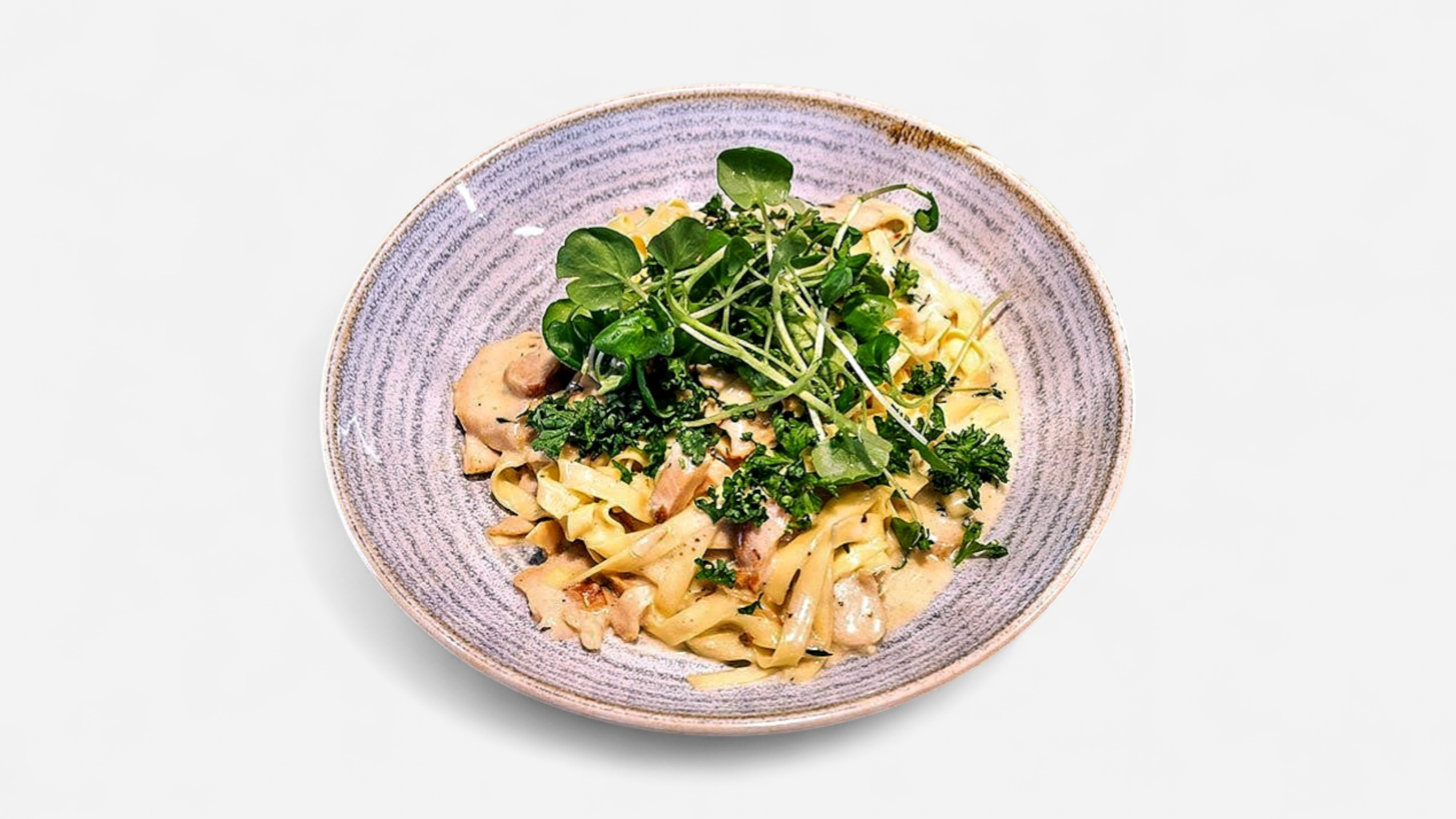 Chicken Alfredo Mealo