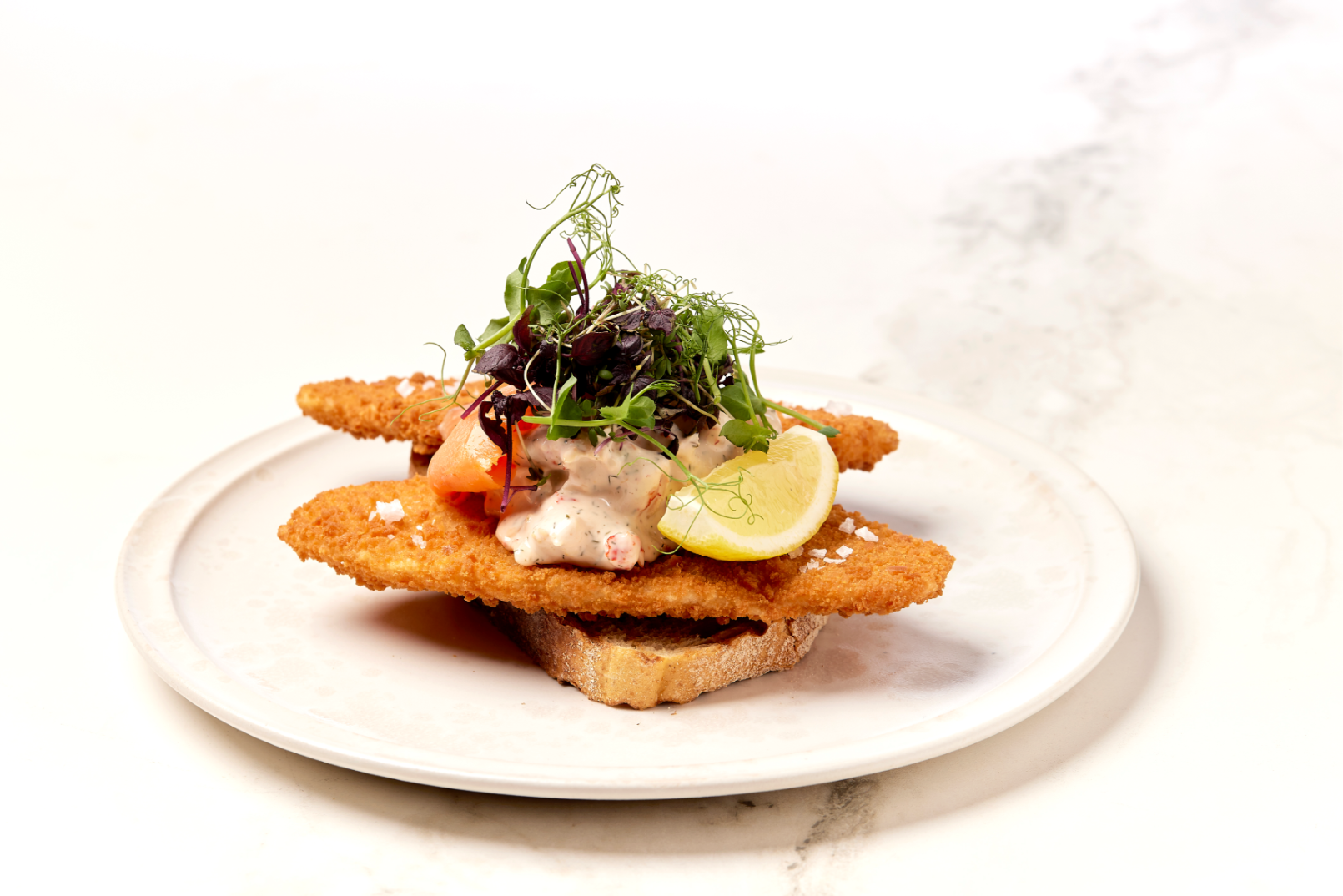 Stjerneskud 2 Compressed Compressed