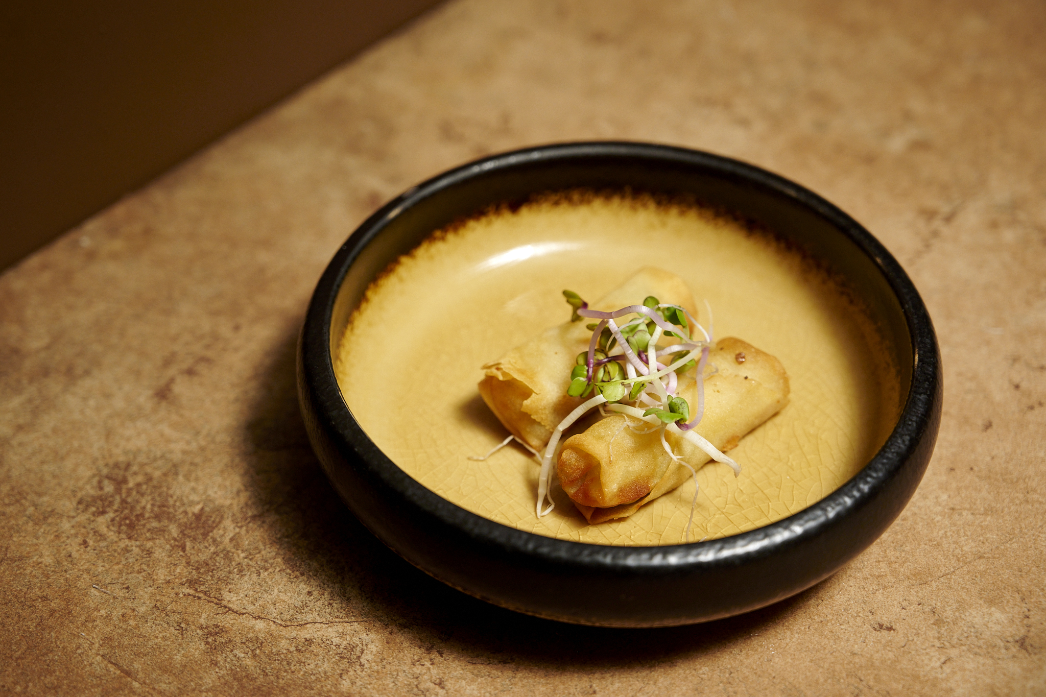 Spring Rolls (1)