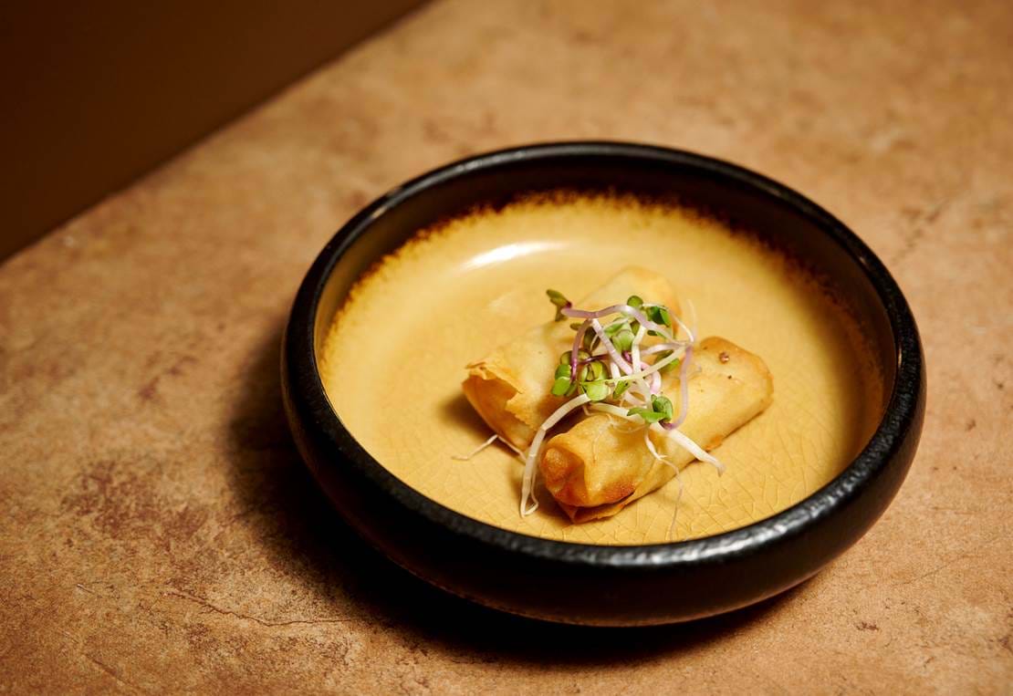 Spring Rolls (1)