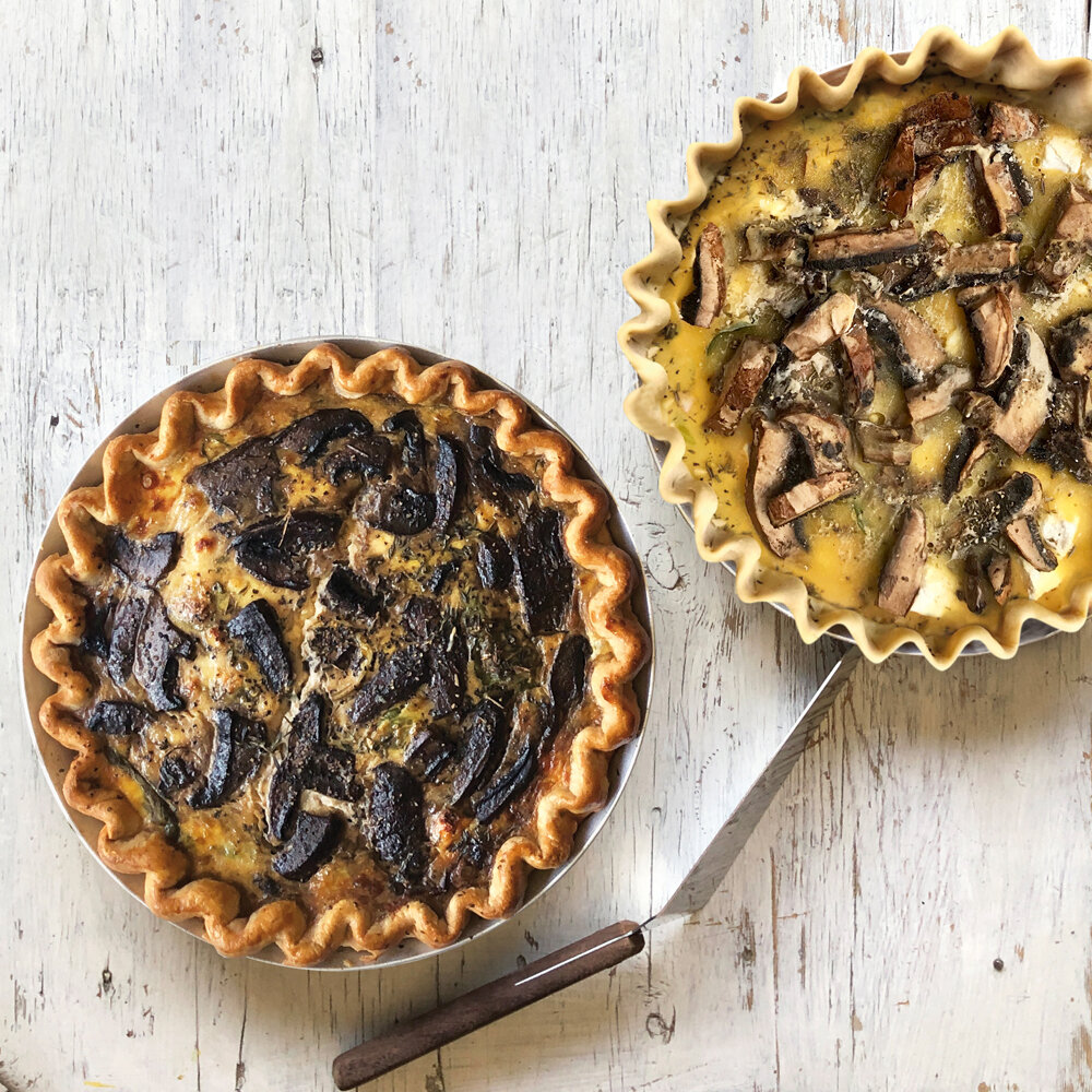 Takebake Quiche Shroom 1000X1000