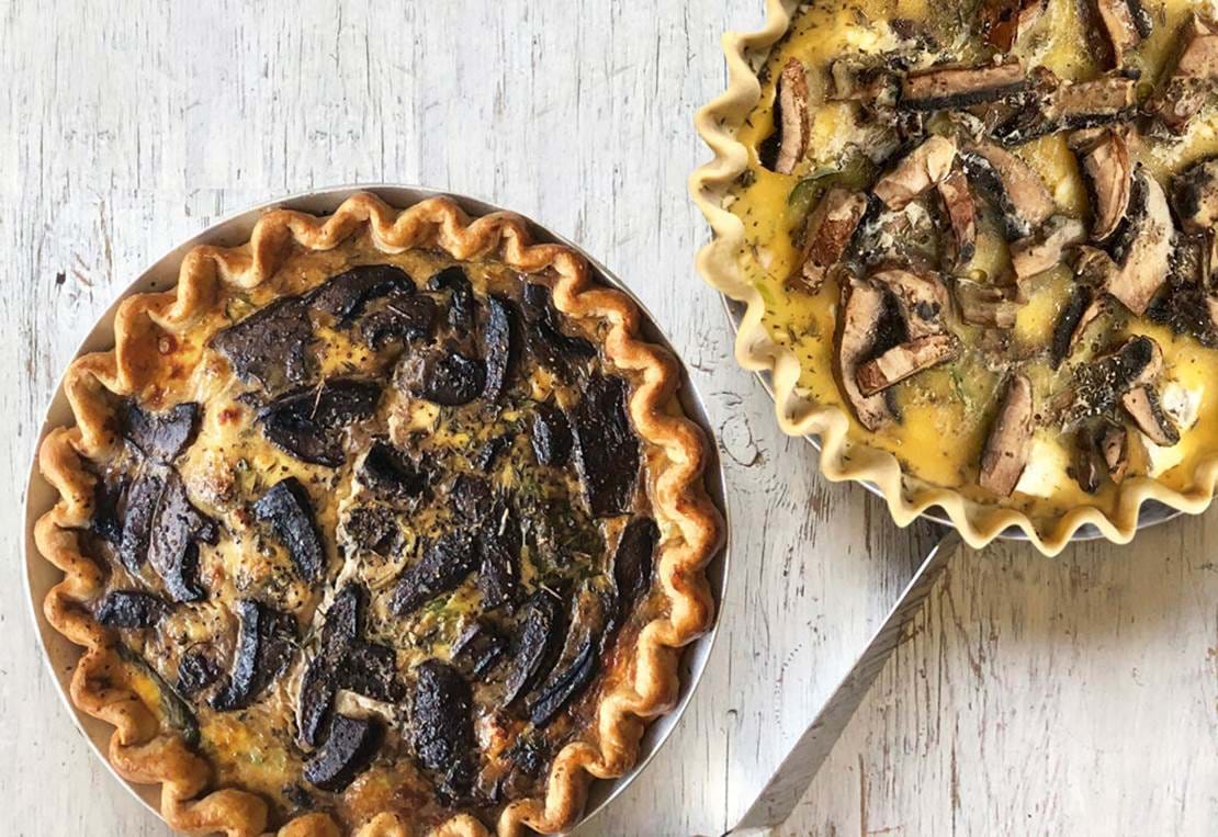 Takebake Quiche Shroom 1000X1000