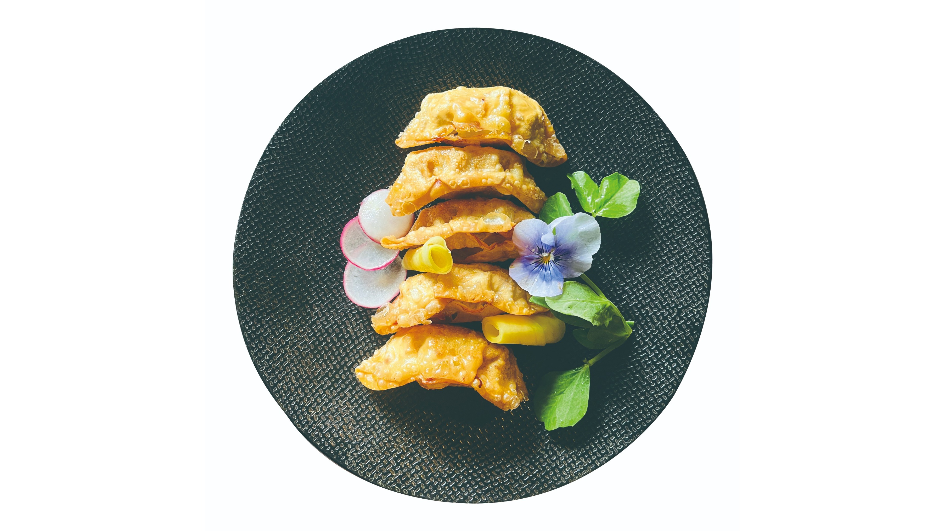 9.Dybstegte Dumplings Med Kylling