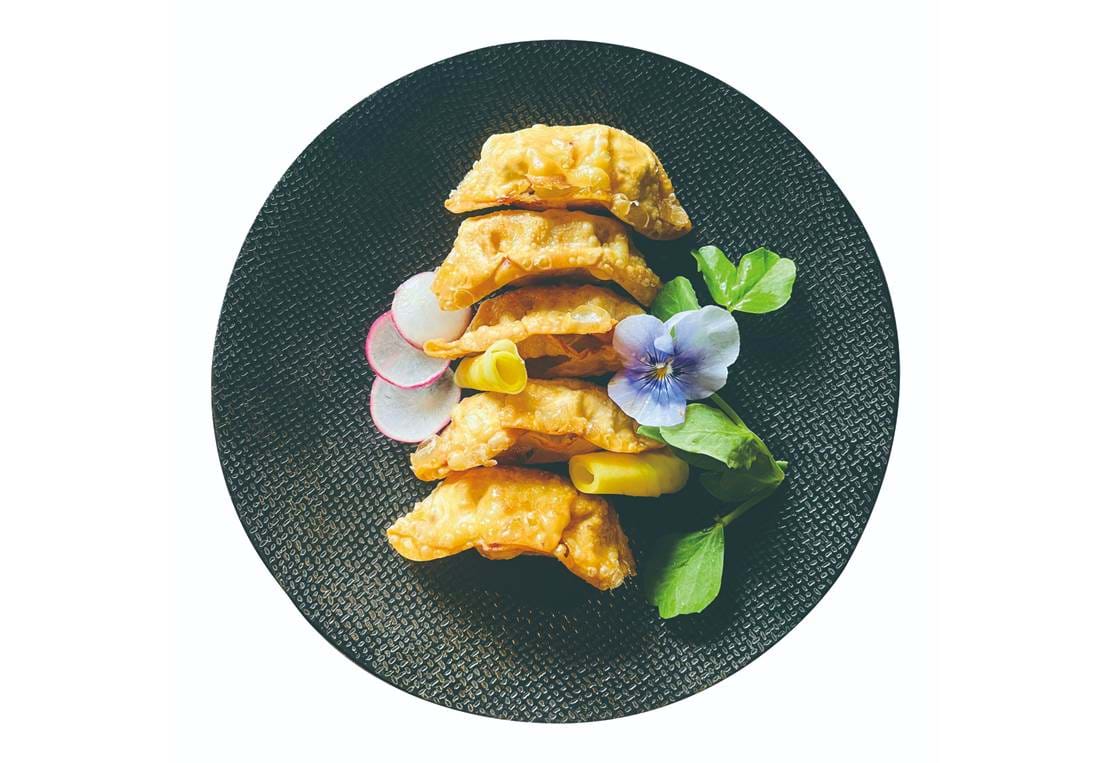 9.Dybstegte Dumplings Med Kylling
