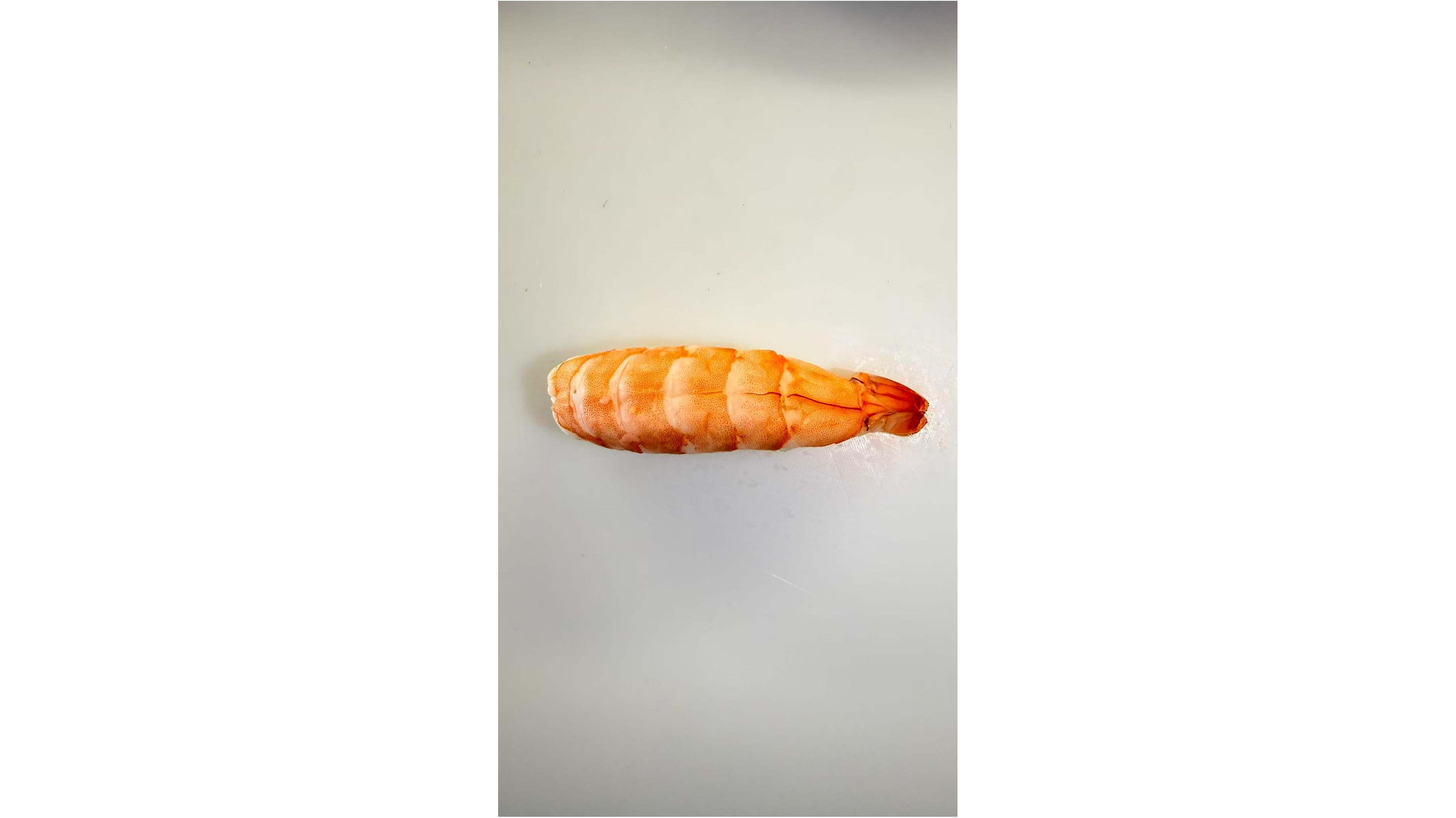 88Nigiri Reje 16X9