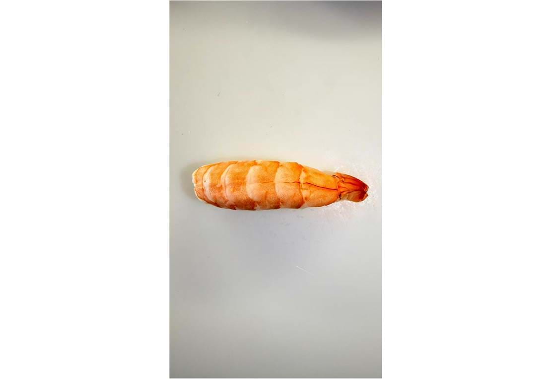 88Nigiri Reje 16X9