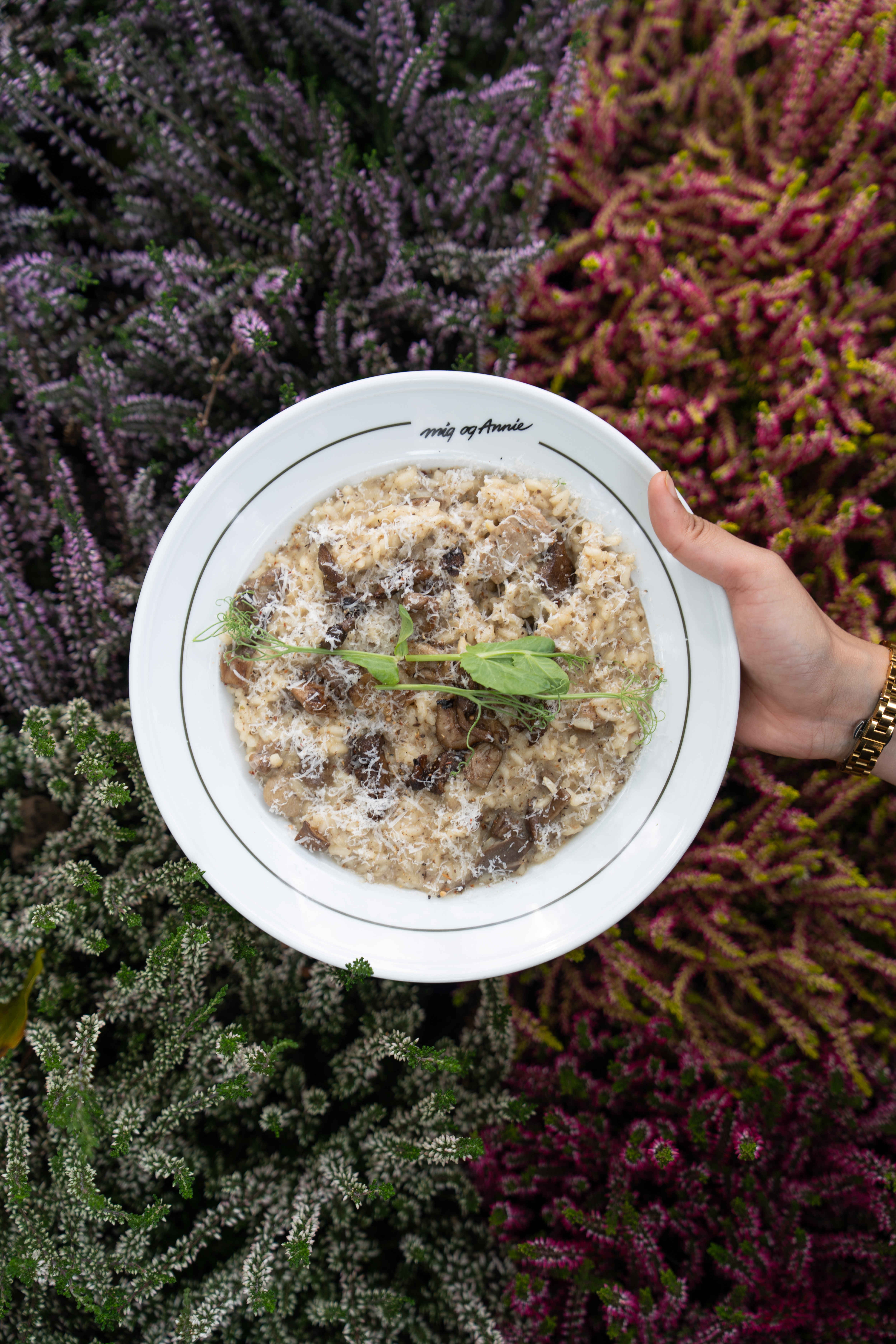 Risotto